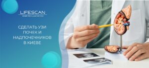 сделать УЗИ почек и надпочечников в киеве